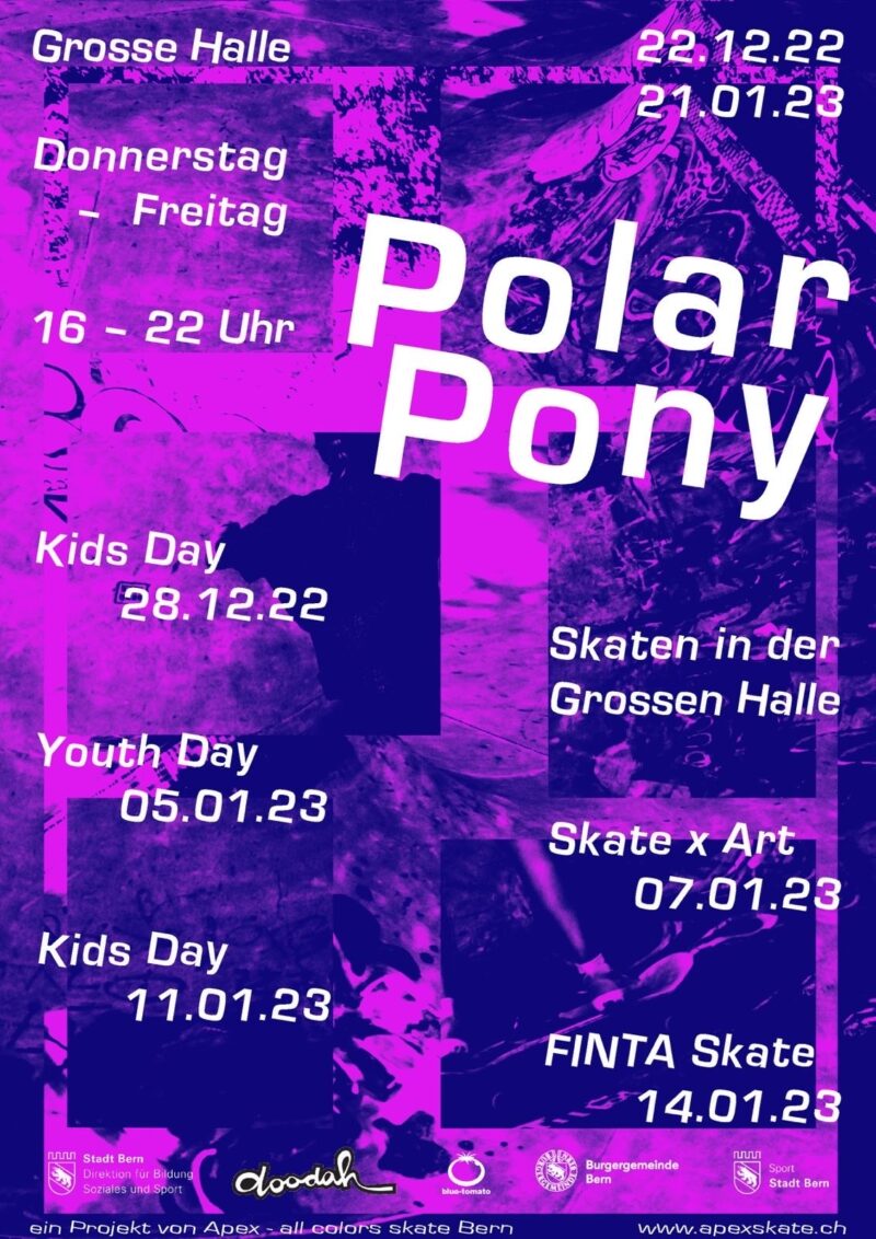 PolarPony – Skaten in der Grossen Halle